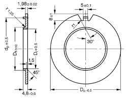 DU Flanged Washer